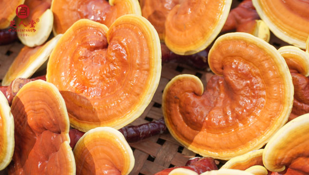 靈芝孢子粉功效,靈芝孢子粉的功效與作用,靈芝孢子油功效,靈芝孢子油的功效與作用